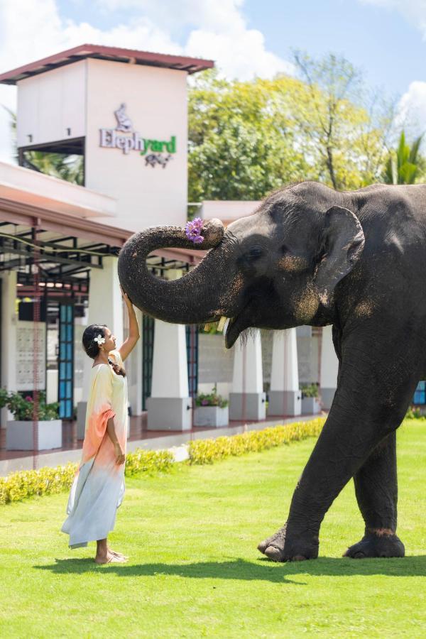 Отель Elephyard Retreat Махиянгана Экстерьер фото